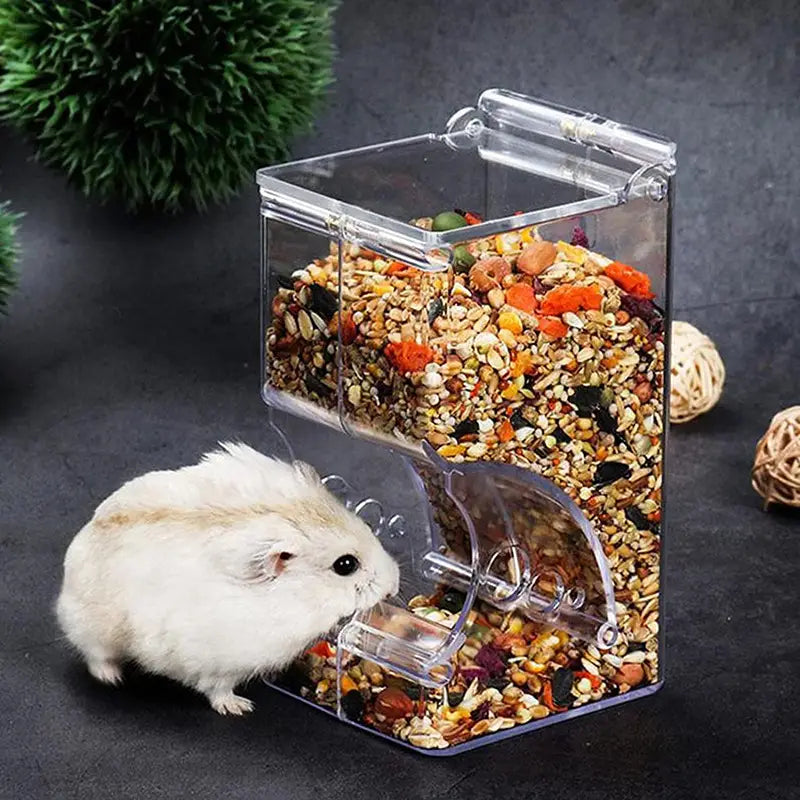 FEEDING TIME Small Pet Automatic Feeder for Hamsters with Fixed Food Bowl