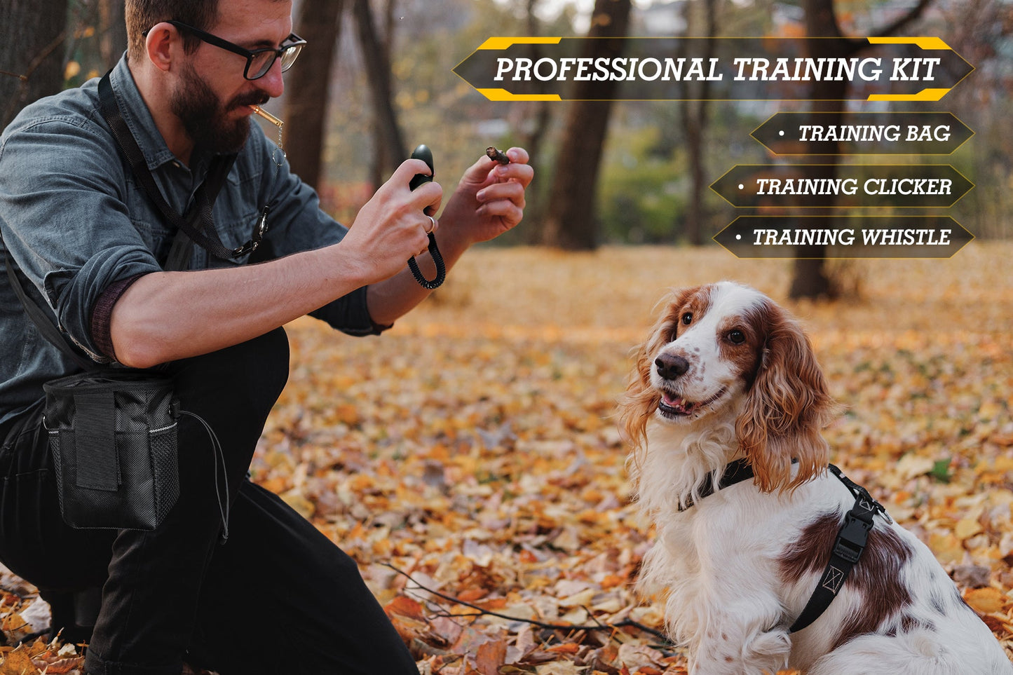 910 Dog Training Collar With More Training Tools