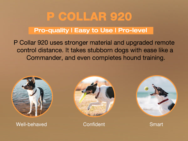 920 Dog Training Collar