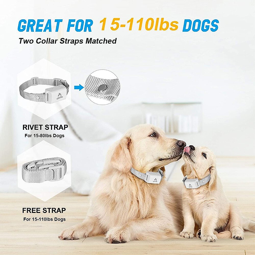 A01 Anti-Bark Dog Training Collar