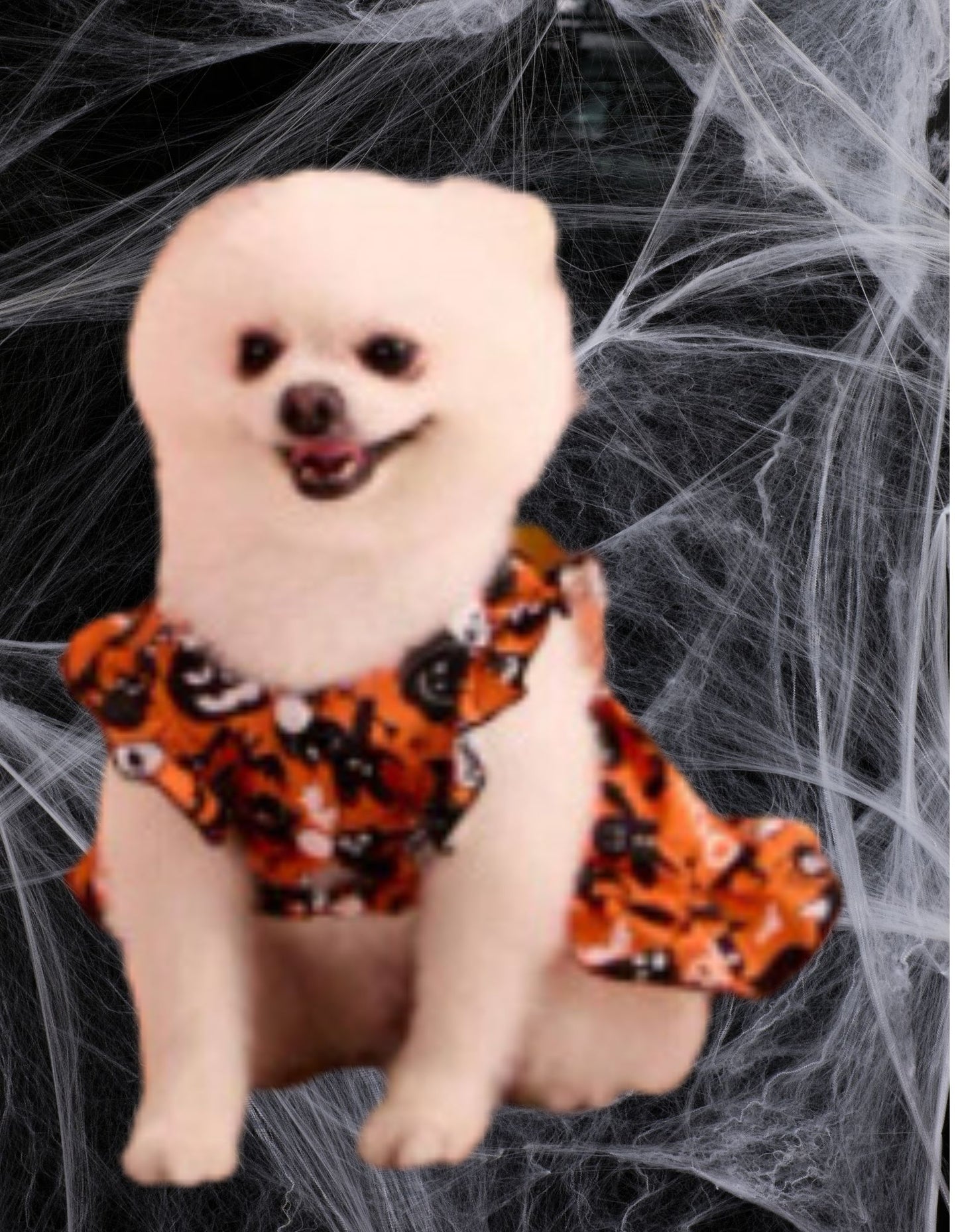 LOVE MY PET Halloween Princess Puff Sleeve Dress with Orange Bow