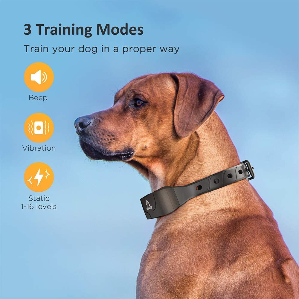 640 Dog Training Collar (Medium/Large Breed)