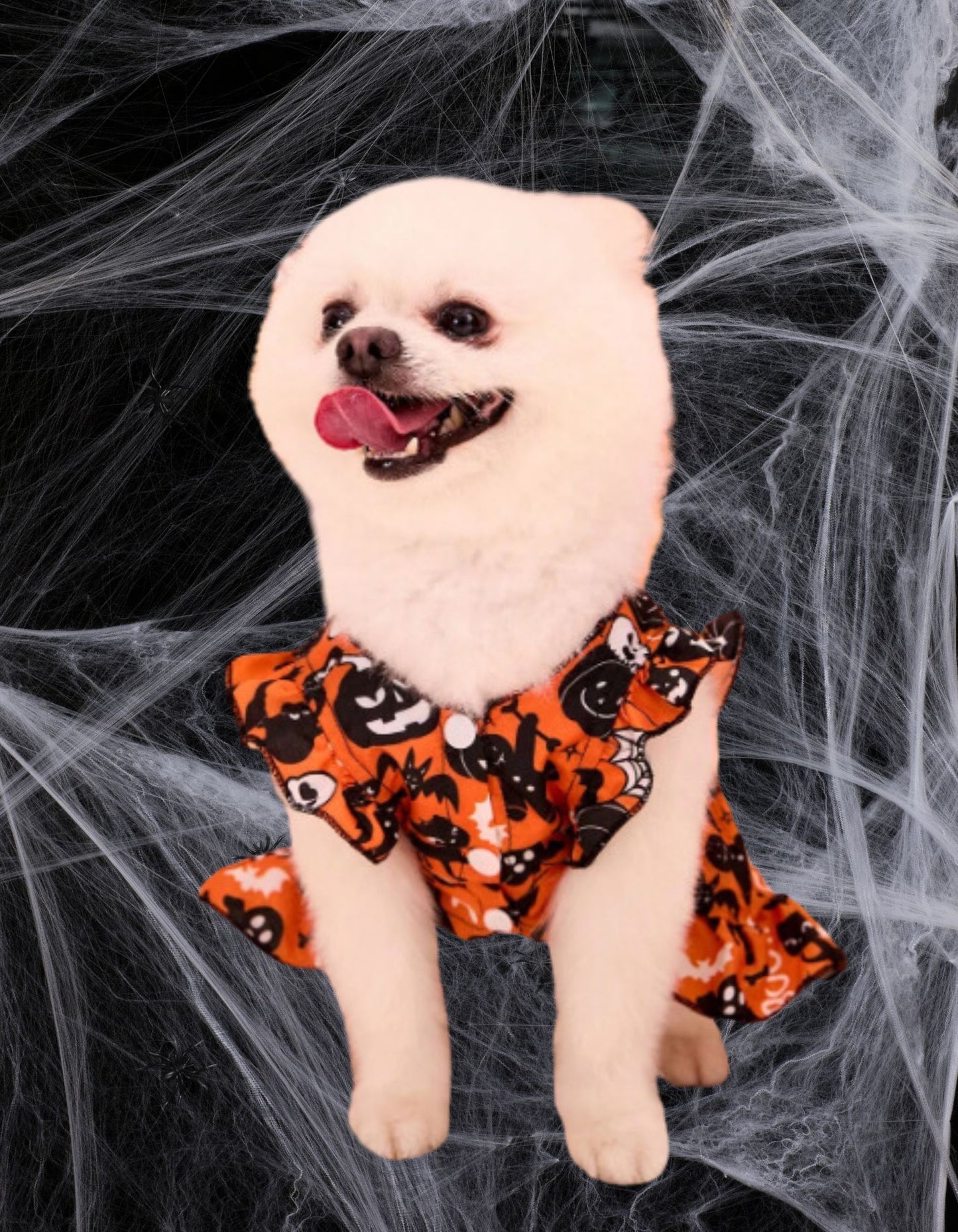 LOVE MY PET Halloween Princess Puff Sleeve Dress with Orange Bow