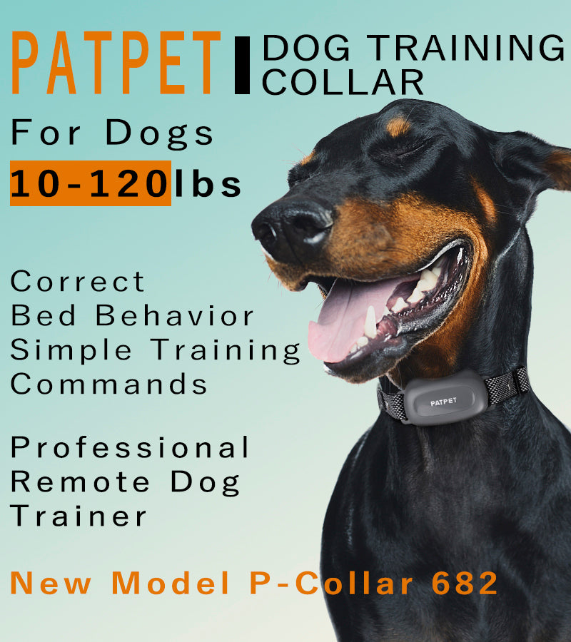 682 Dog Training Collar（Small/Medium Breed）