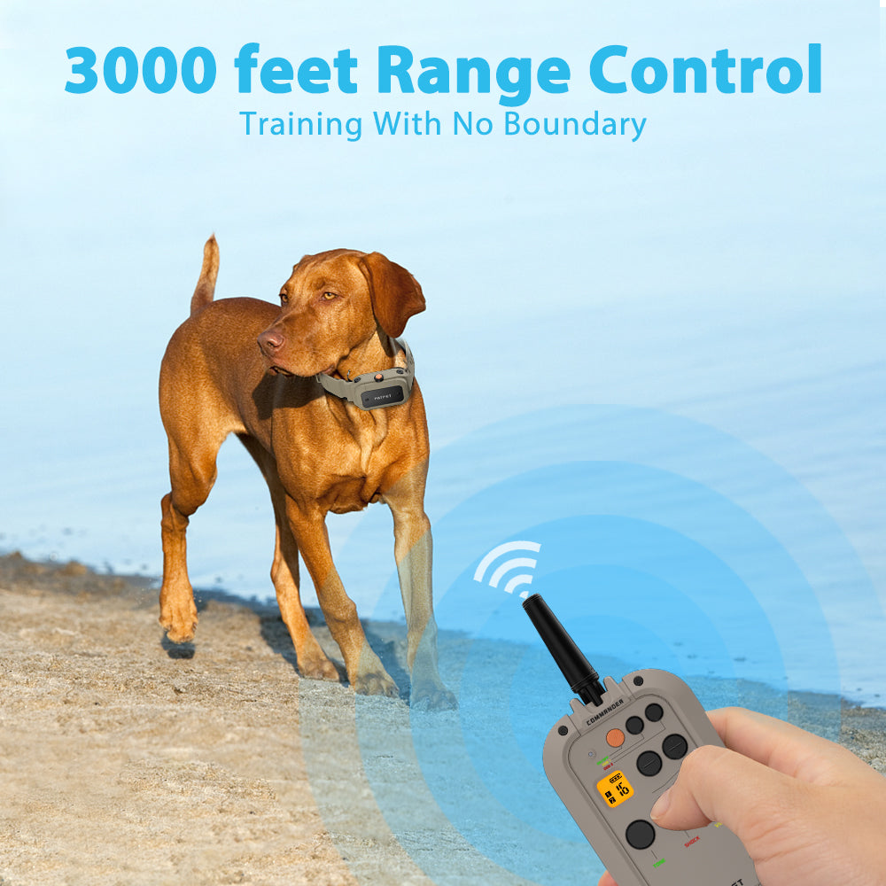 920Pro Dog Training Collar