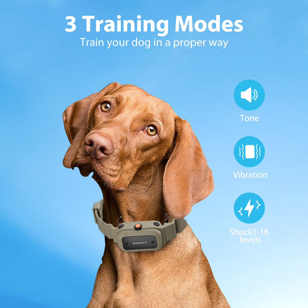 920Pro Dog Training Collar