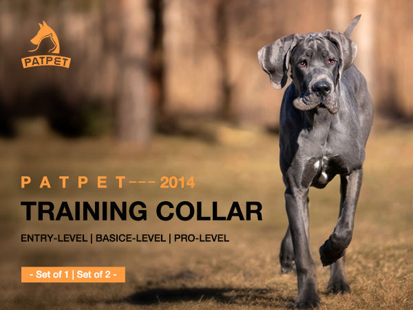 920 Dog Training Collar