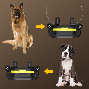 910 Dog Training Collar With More Training Tools