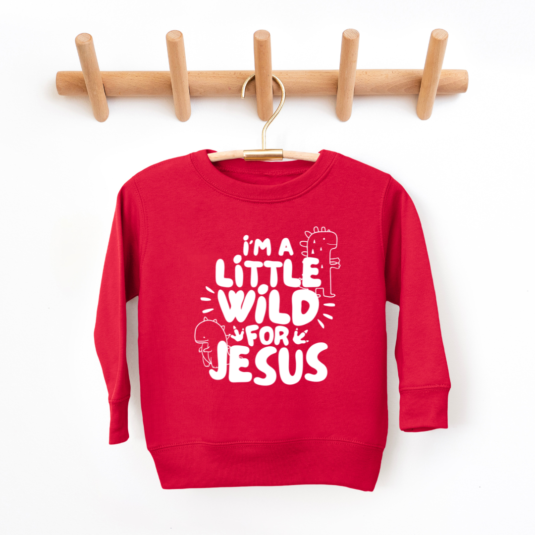 Wild For Jesus Youth & Toddler Sweatshirt SZ 2T-YXL