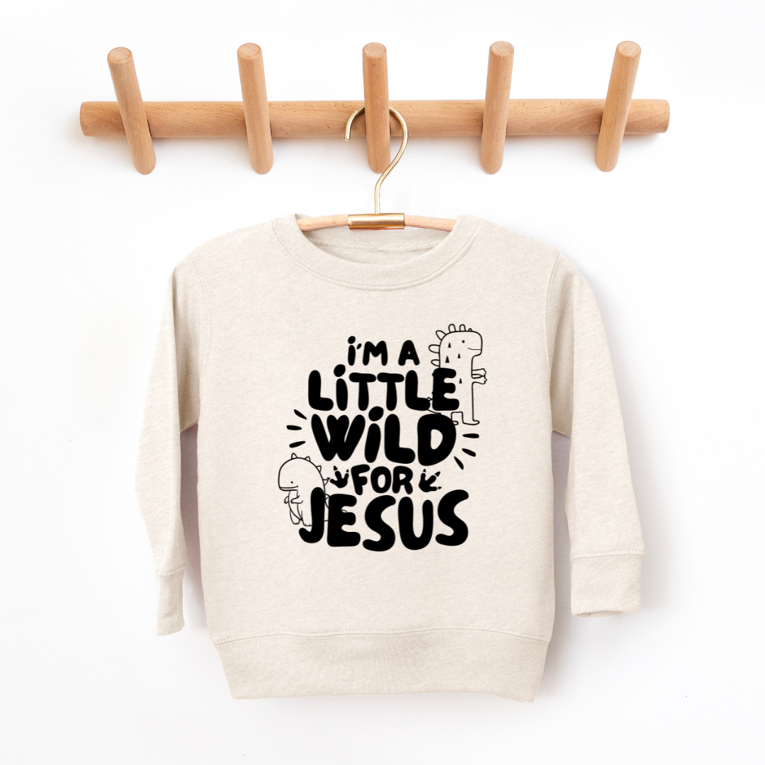 Wild For Jesus Youth & Toddler Sweatshirt SZ 2T-YXL