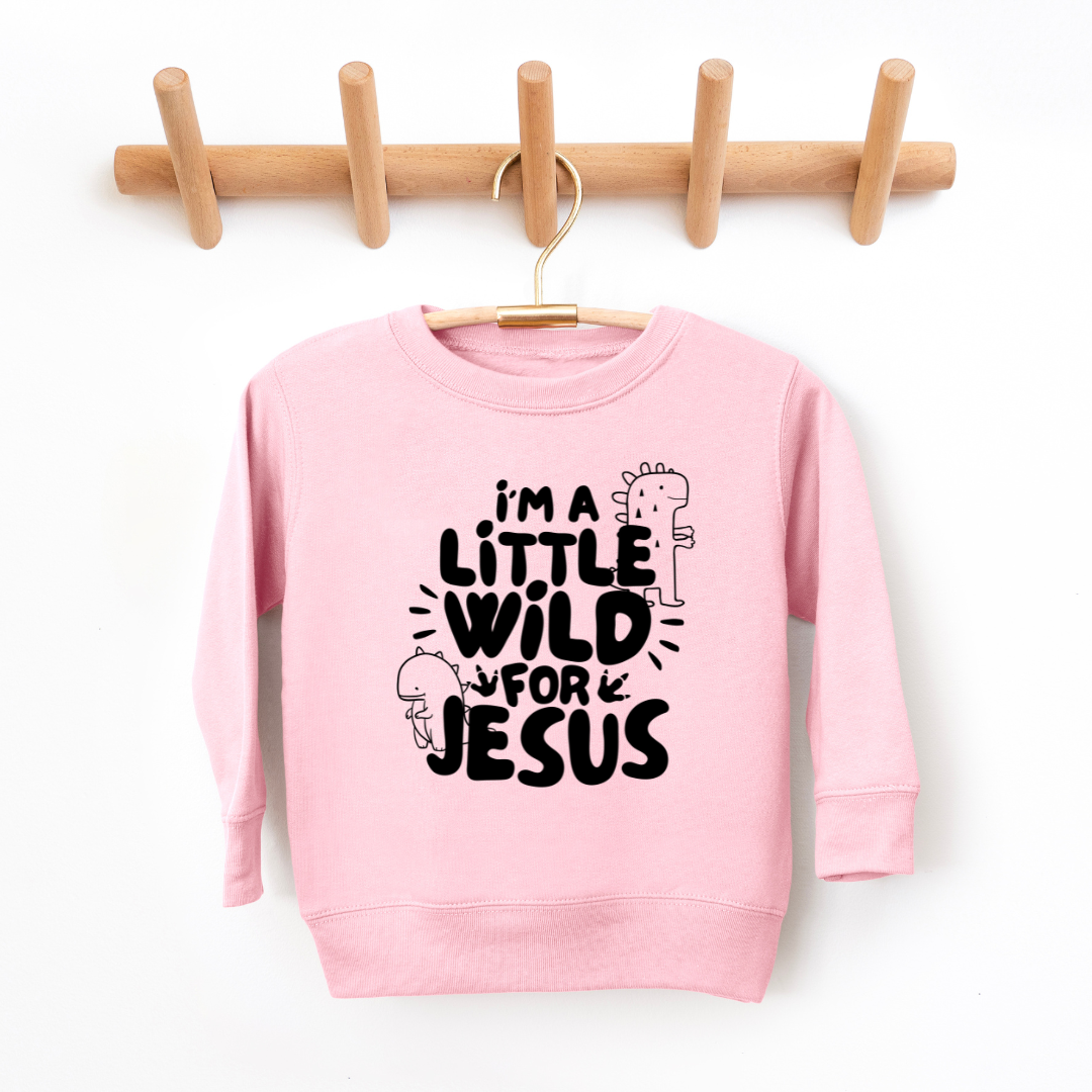 Wild For Jesus Youth & Toddler Sweatshirt SZ 2T-YXL