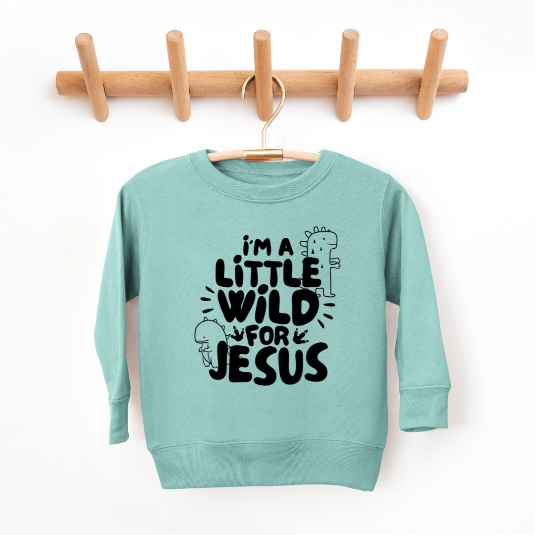 Wild For Jesus Youth & Toddler Sweatshirt SZ 2T-YXL