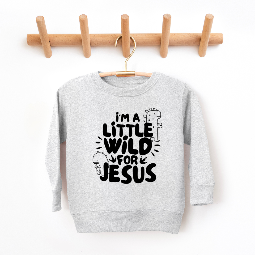 Wild For Jesus Youth & Toddler Sweatshirt SZ 2T-YXL