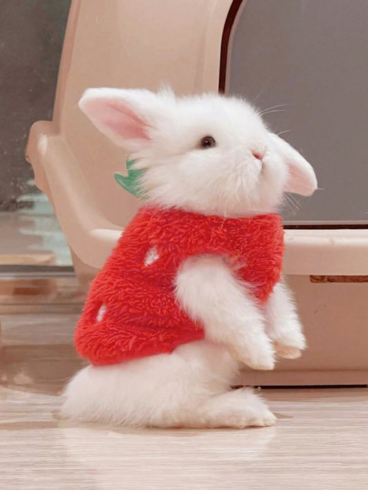 Strawberry Design Rabbit Tank For Small Animals 🔥