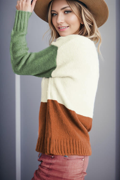 CozyWonders Color Block Round Neck Long Sleeve Sweater