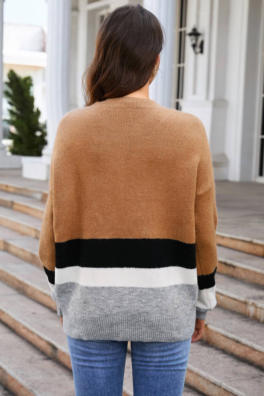 Beautiful Browns Color Block Round Neck Sweater 🦋