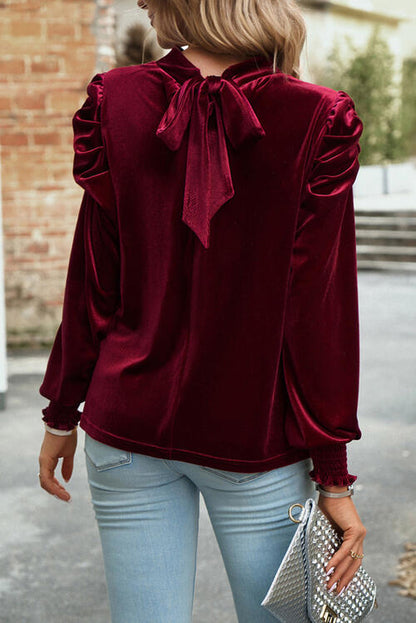 Women's Ava Tie Up Mock Neck Velvet Fabric Long Sleeve Blouse