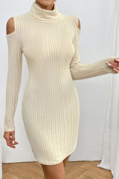 Larissa Bea Ribbed Turtleneck Cold Shoulder Long Sleeve Mini Dress