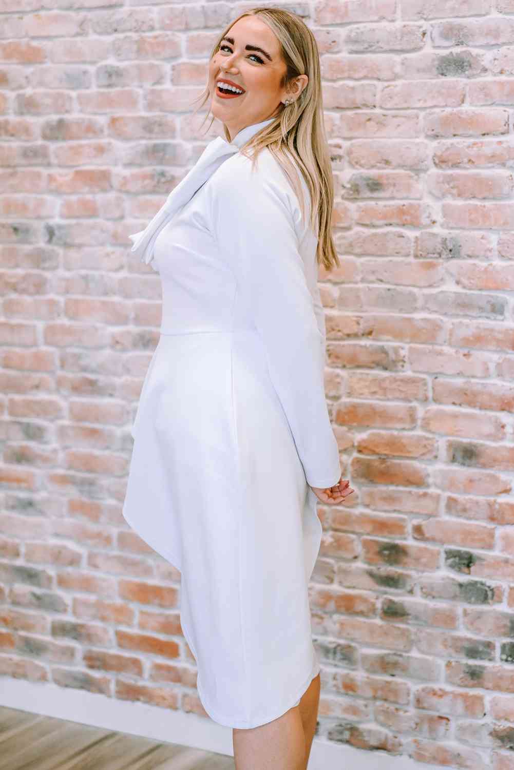 Full Size Bow Detail Long Sleeve Dress