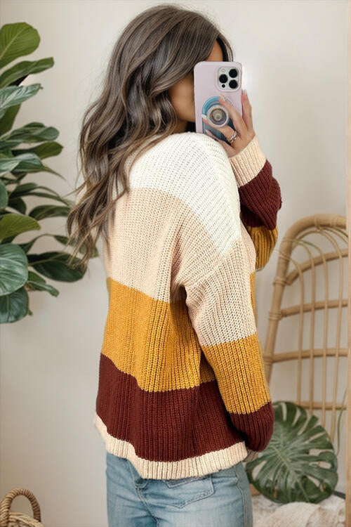 CozyWonders Color Block Round Neck Long Sleeve Sweater