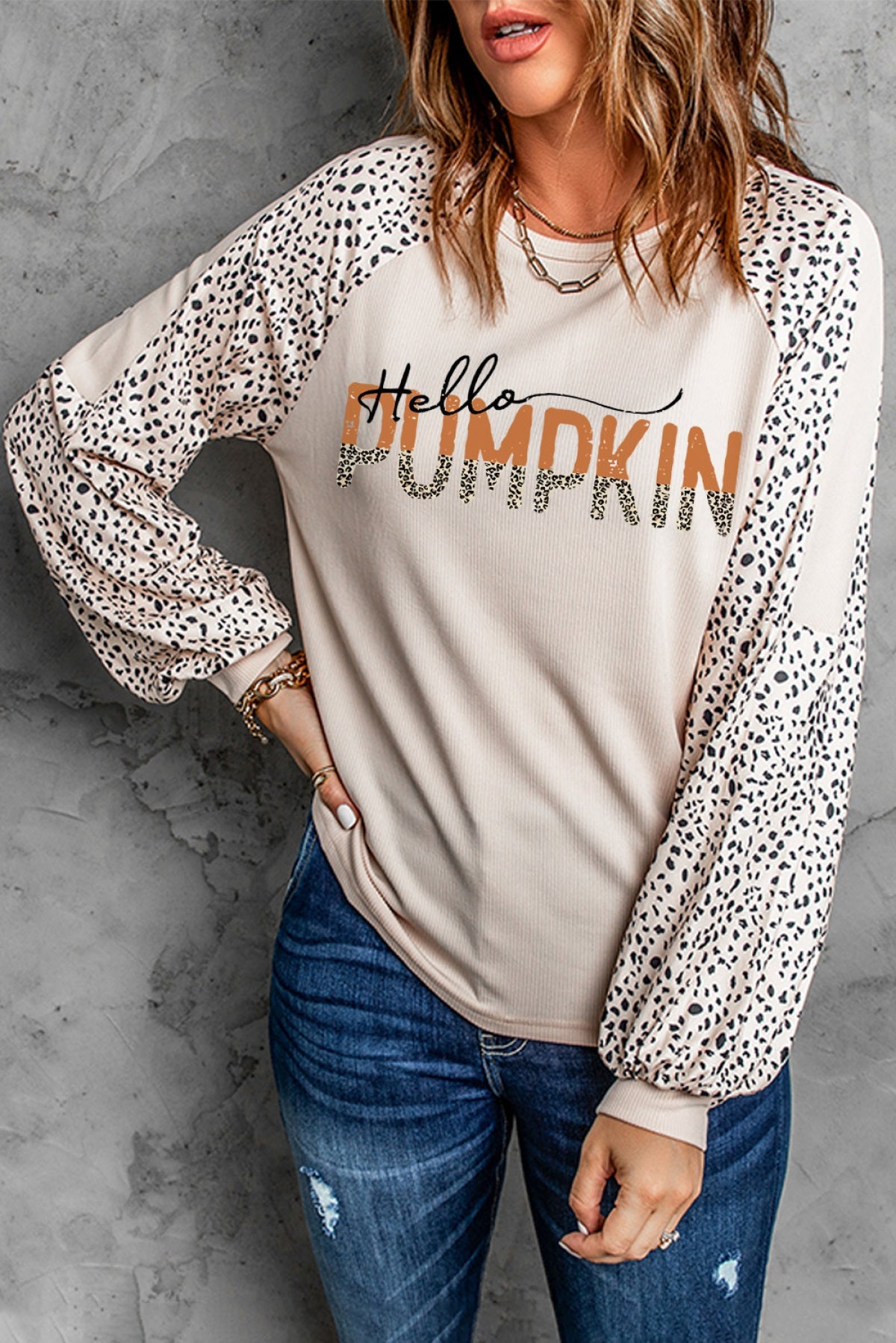 Leopard Print Long Sleeve Pullover Top